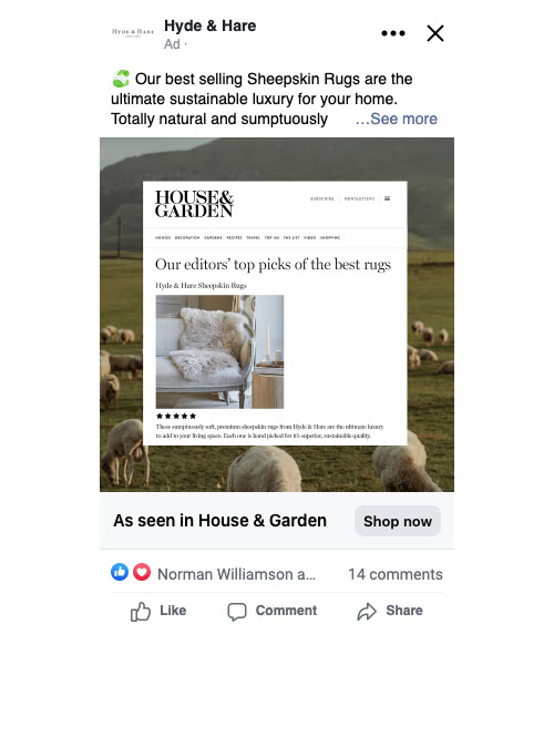 Feed preview of Ad 16